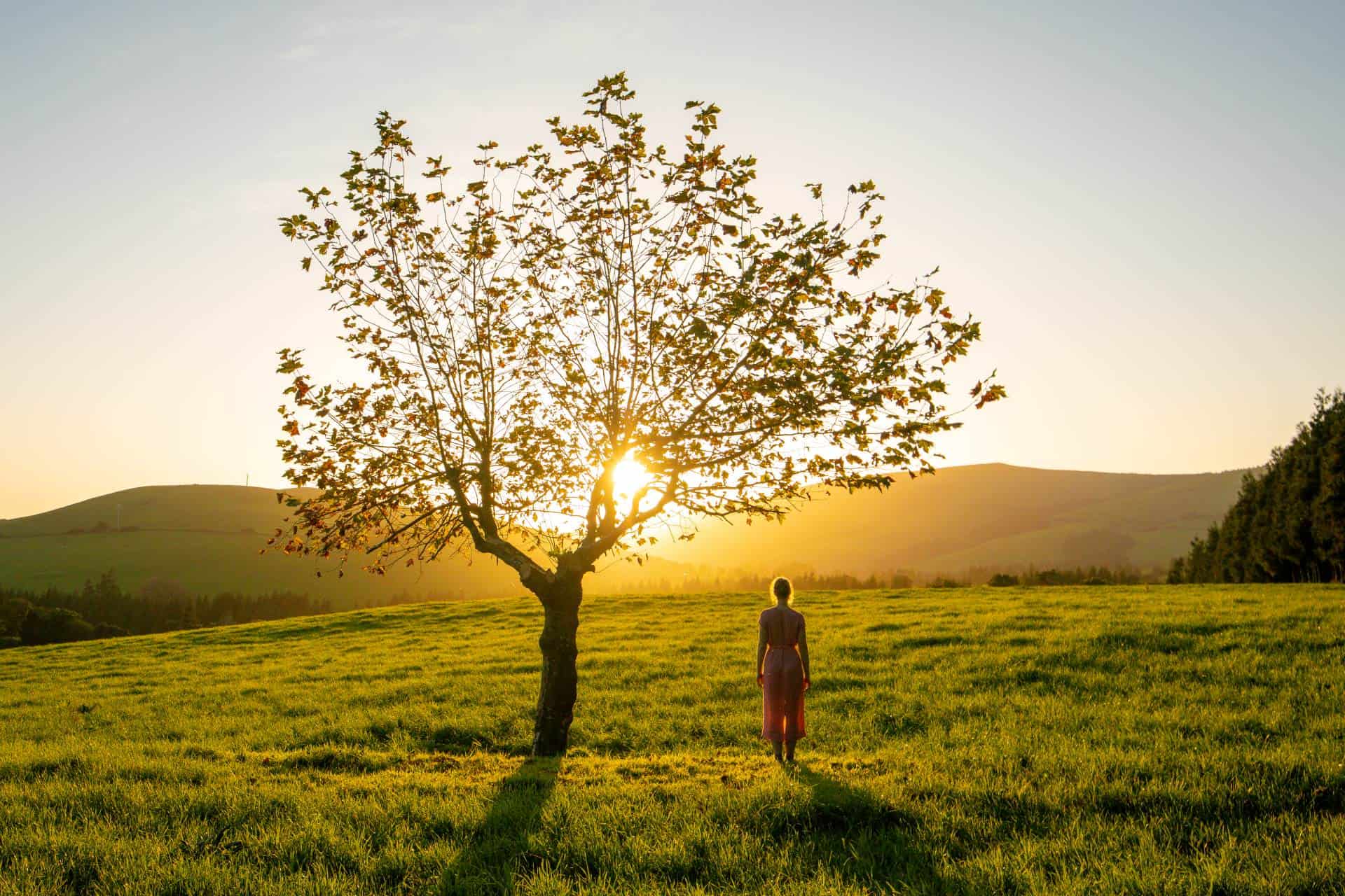 counselling Geneva